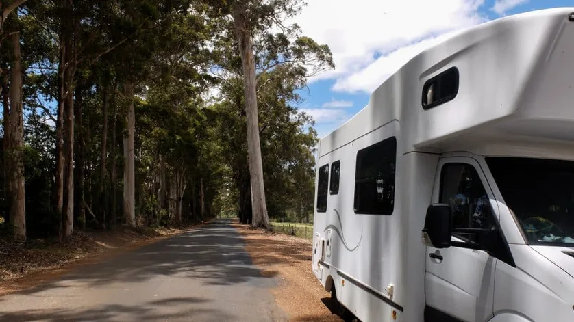 Motorhome parked on a tree-lined country road